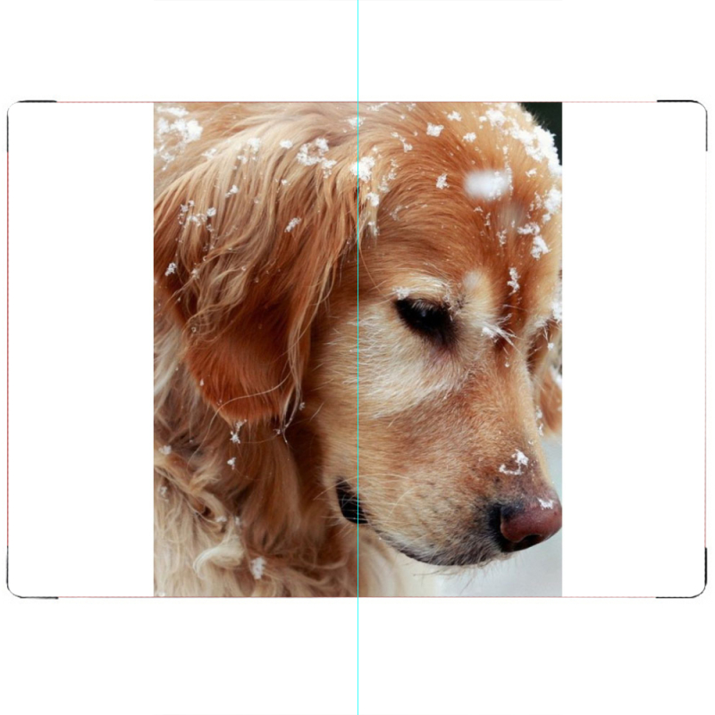 ПАСПОРТ Golden Retriever