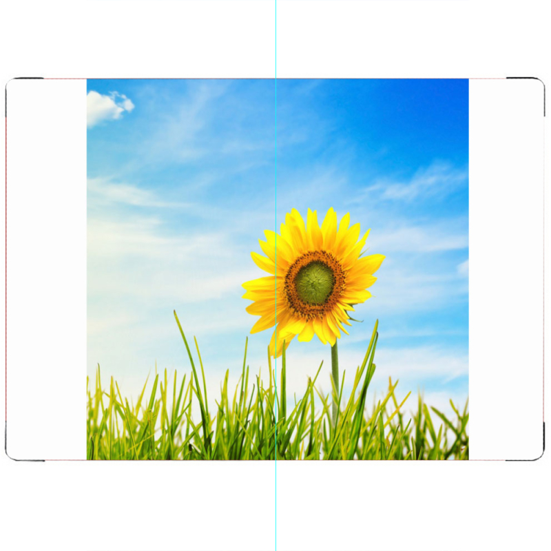 ПАСПОРТ Sunflower Heaven