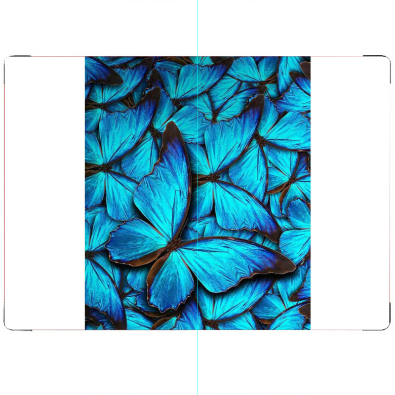 ПАСПОРТ лазурные бабочки