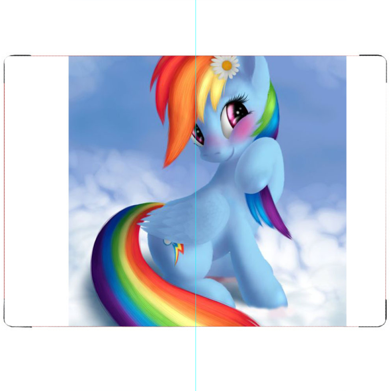 ПАСПОРТ My Little Pony Rainbow Dash