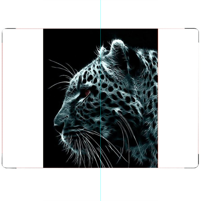 ПАСПОРТ Leopard