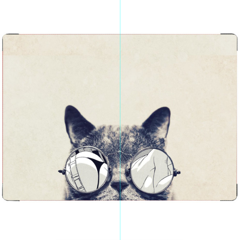 ПАСПОРТ Соглядатай Кот