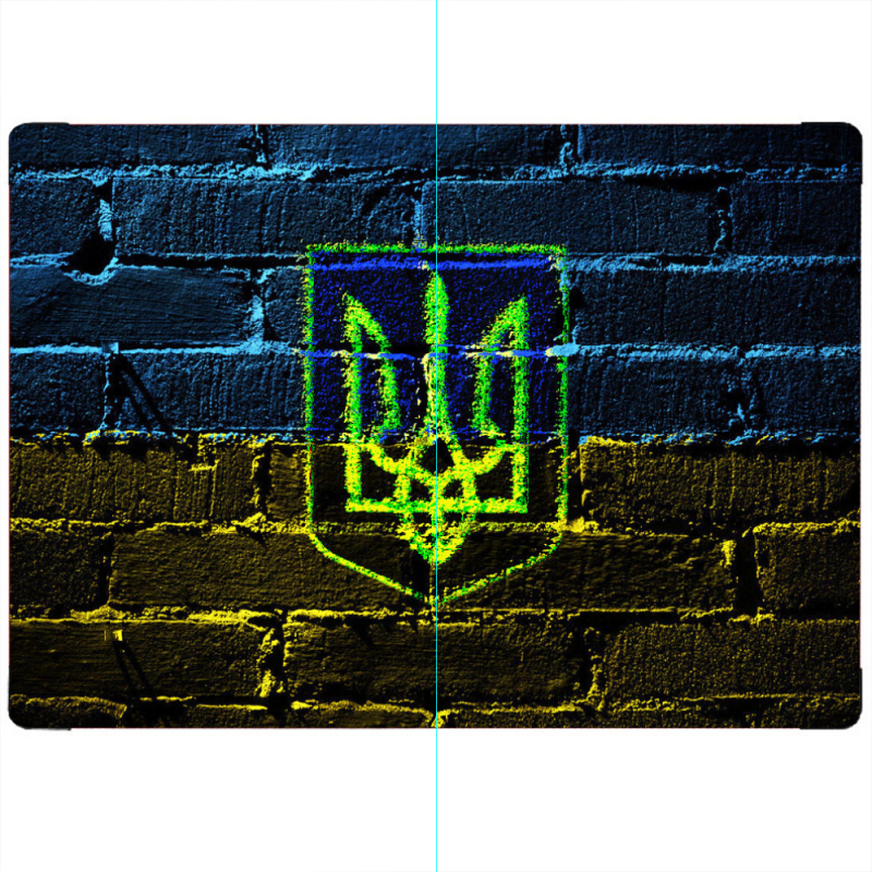 ПАСПОРТ Trident