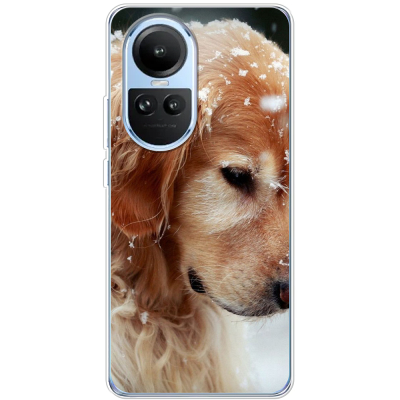 Чехол BoxFace OPPO Reno 10 Golden Retriever