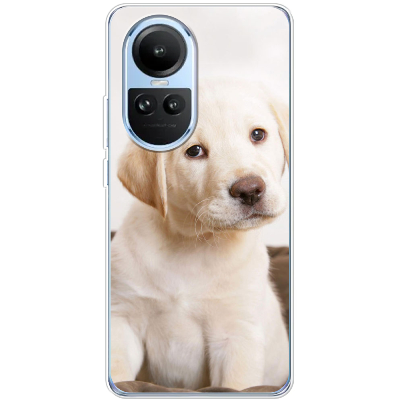 Чехол BoxFace OPPO Reno 10 Puppy Labrador