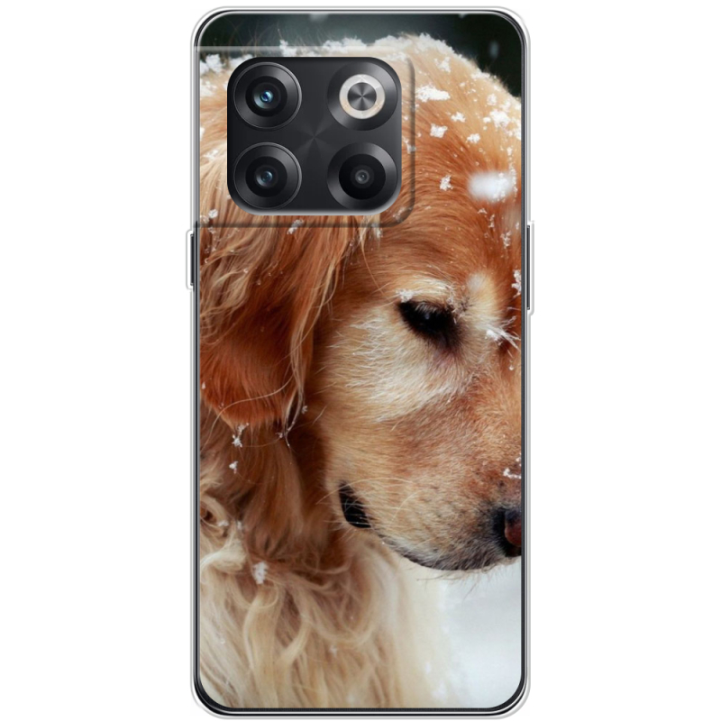 Чехол BoxFace OnePlus 10T Golden Retriever