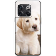 Чехол BoxFace OnePlus 10T Puppy Labrador