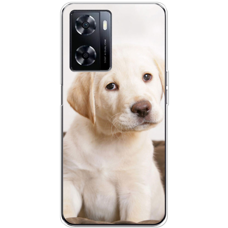 Чехол BoxFace OnePlus Nord N20 SE Puppy Labrador