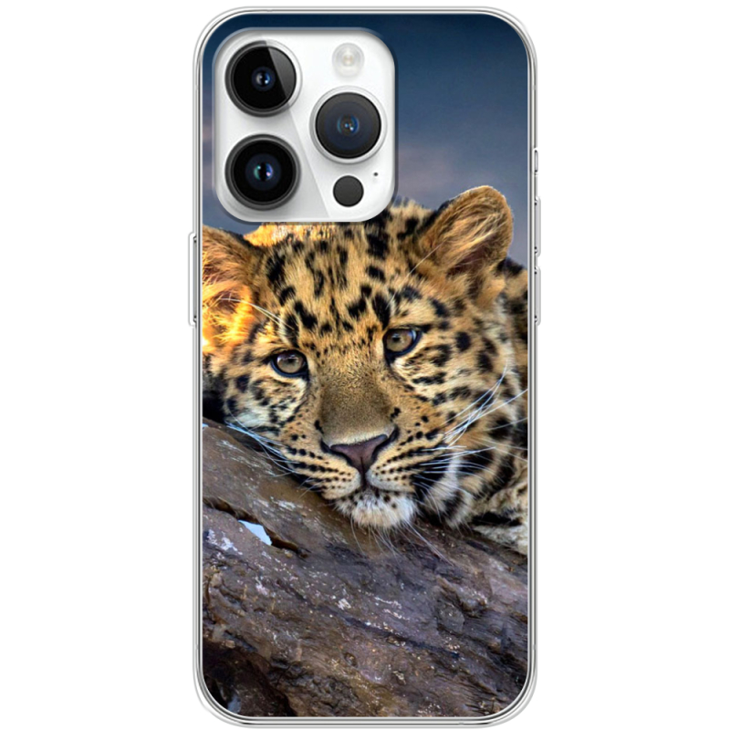Чехол BoxFace Apple iPhone 15 Pro 