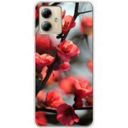 Чехол BoxFace Motorola G14 Awakening Spring