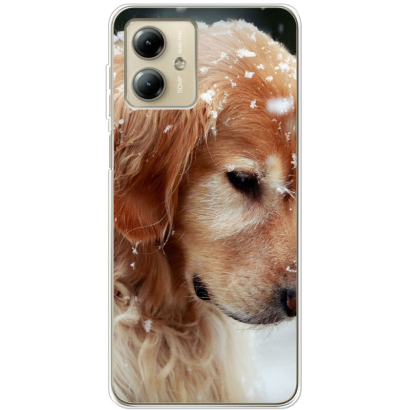 Чехол BoxFace Motorola G14 Golden Retriever