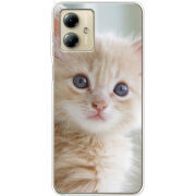 Чехол BoxFace Motorola G14 Animation Kittens