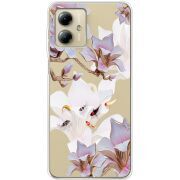 Прозрачный чехол BoxFace Motorola G14 Chinese Magnolia