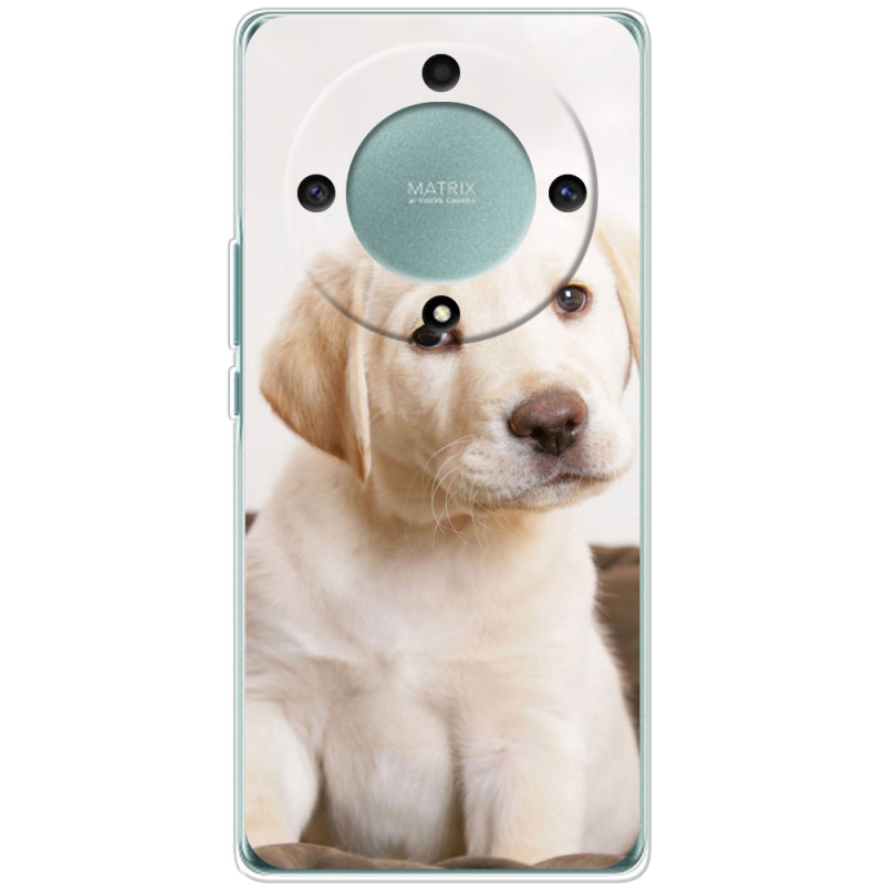 Чехол BoxFace Honor Magic 5 Lite 5G Puppy Labrador