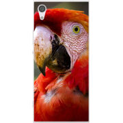 Чехол Uprint Sony Xperia XA1 G3116 / XA1 Dual G3112 