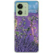 Чехол BoxFace Motorola Edge 40 Lavender Field