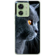 Чехол BoxFace Motorola Edge 40 English cat