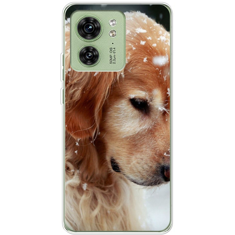 Чехол BoxFace Motorola Edge 40 Golden Retriever