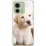 Чехол BoxFace Motorola Edge 40 Puppy Labrador