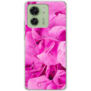 Чехол BoxFace Motorola Edge 40 Pink Flowers