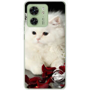 Чехол BoxFace Motorola Edge 40 Fluffy Cat