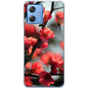 Чехол BoxFace Motorola G54 5G Awakening Spring