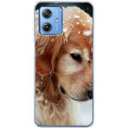 Чехол BoxFace Motorola G54 5G Golden Retriever