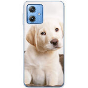 Чехол BoxFace Motorola G54 5G Puppy Labrador