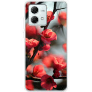 Чехол BoxFace Motorola G84 Awakening Spring