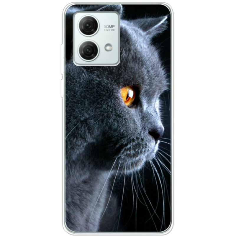 Чехол BoxFace Motorola G84 English cat