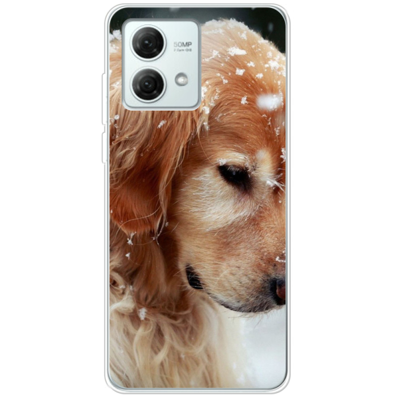 Чехол BoxFace Motorola G84 Golden Retriever