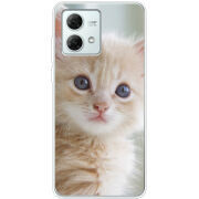 Чехол BoxFace Motorola G84 Animation Kittens