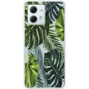 Прозрачный чехол BoxFace Motorola G84 Palm Tree