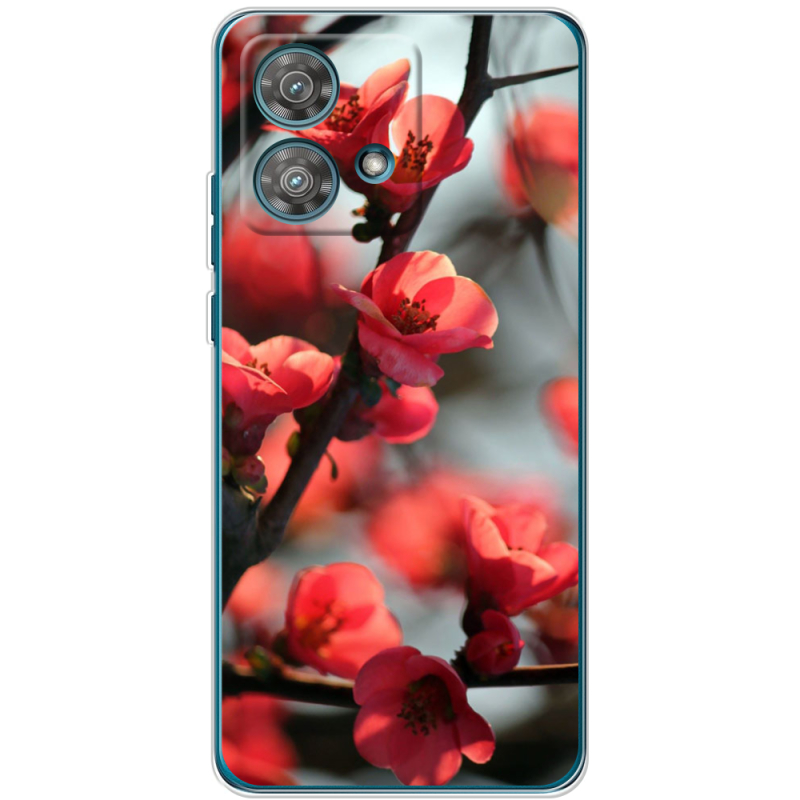 Чехол BoxFace Motorola Edge 40 Neo Awakening Spring