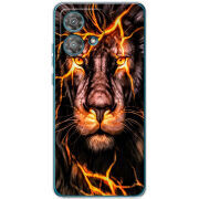 Чехол BoxFace Motorola Edge 40 Neo Fire Lion