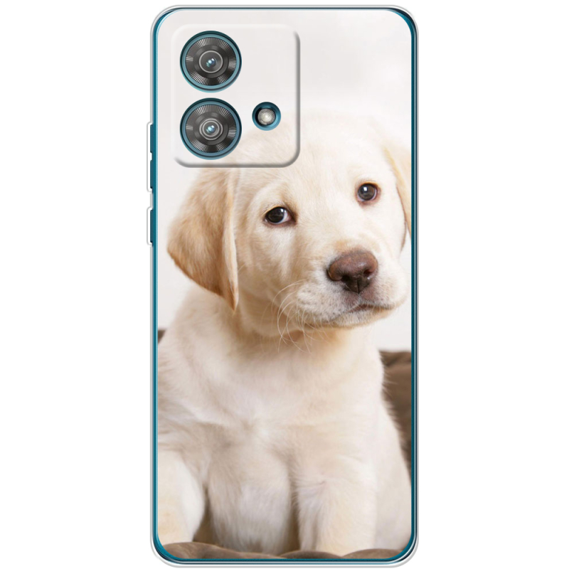 Чехол BoxFace Motorola Edge 40 Neo Puppy Labrador