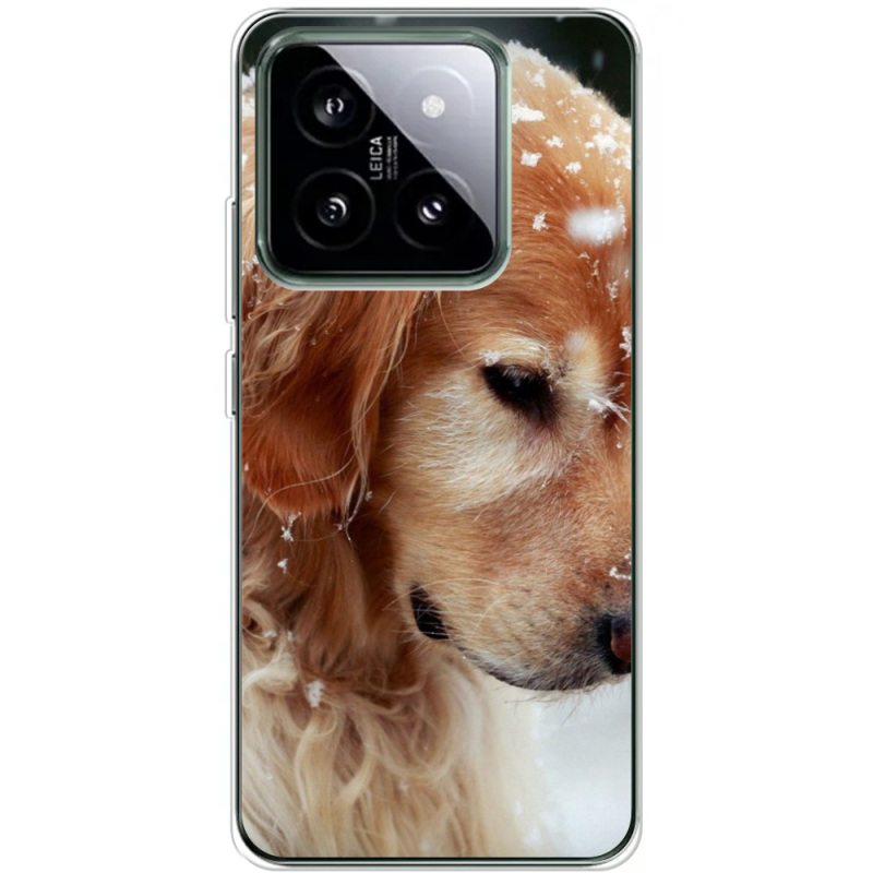 Чехол BoxFace Xiaomi 14 Pro Golden Retriever