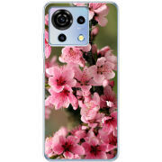 Чехол BoxFace ZTE Blade V50 Vita Вишневые Цветы