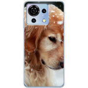 Чехол BoxFace ZTE Blade V50 Vita Golden Retriever