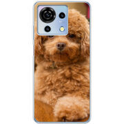 Чехол BoxFace ZTE Blade V50 Vita 