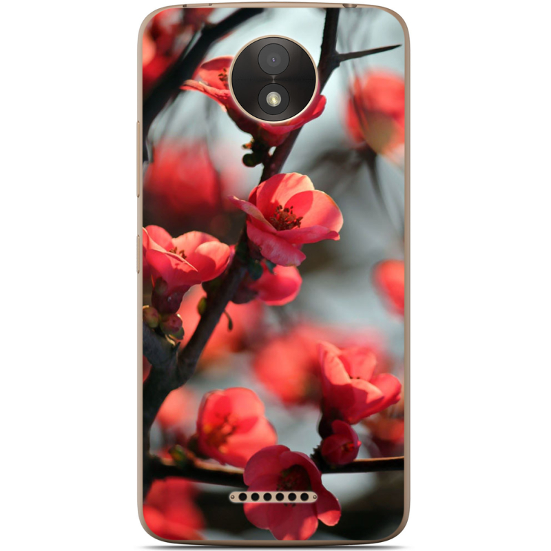 Чехол Uprint Motorola Moto C Plus XT1723 Awakening Spring