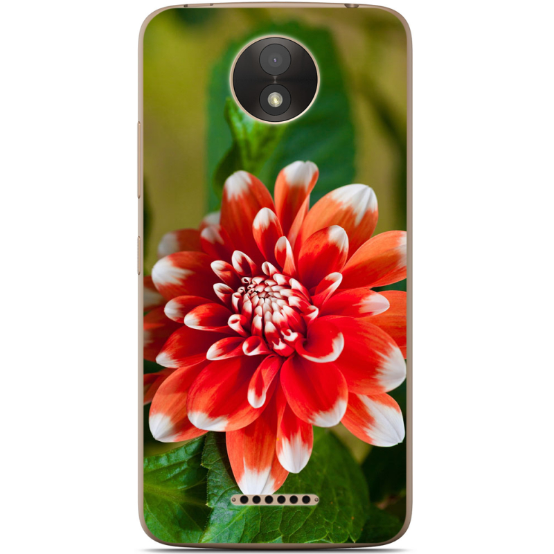 Чехол Uprint Motorola Moto C Plus XT1723 