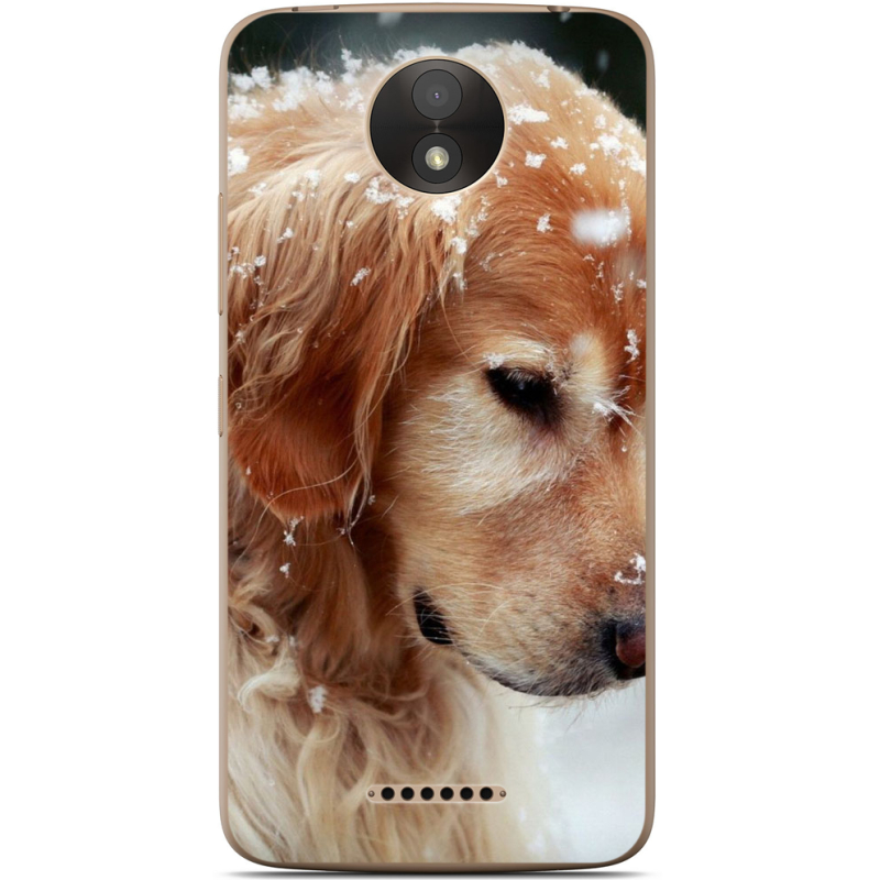 Чехол Uprint Motorola Moto C Plus XT1723 Golden Retriever