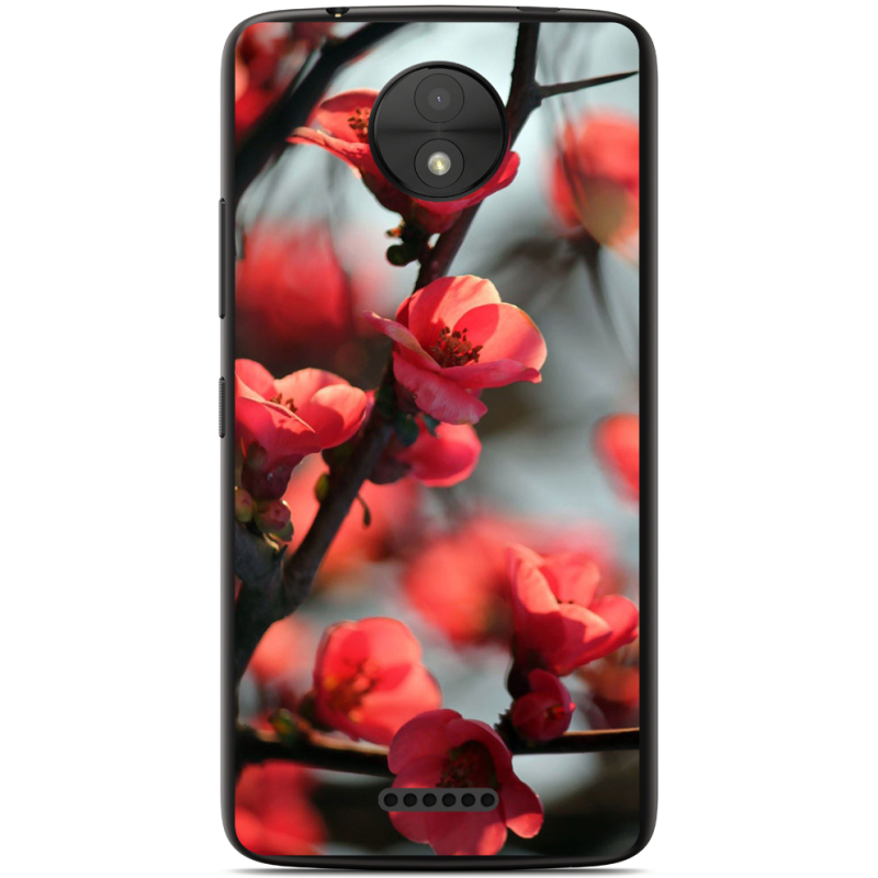 Чехол Uprint Motorola Moto C XT1750 Awakening Spring