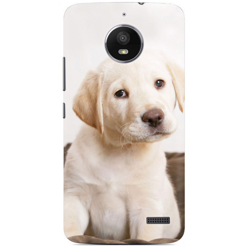 Чехол Uprint Motorola Moto E XT1762 Puppy Labrador