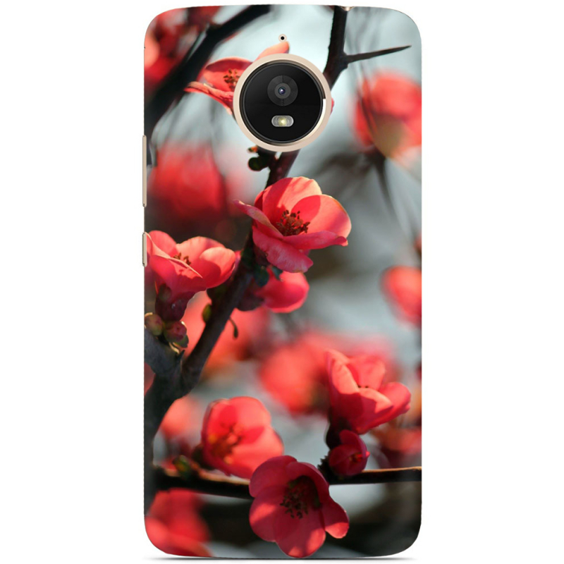 Чехол Uprint Motorola Moto E Plus XT1771 Awakening Spring