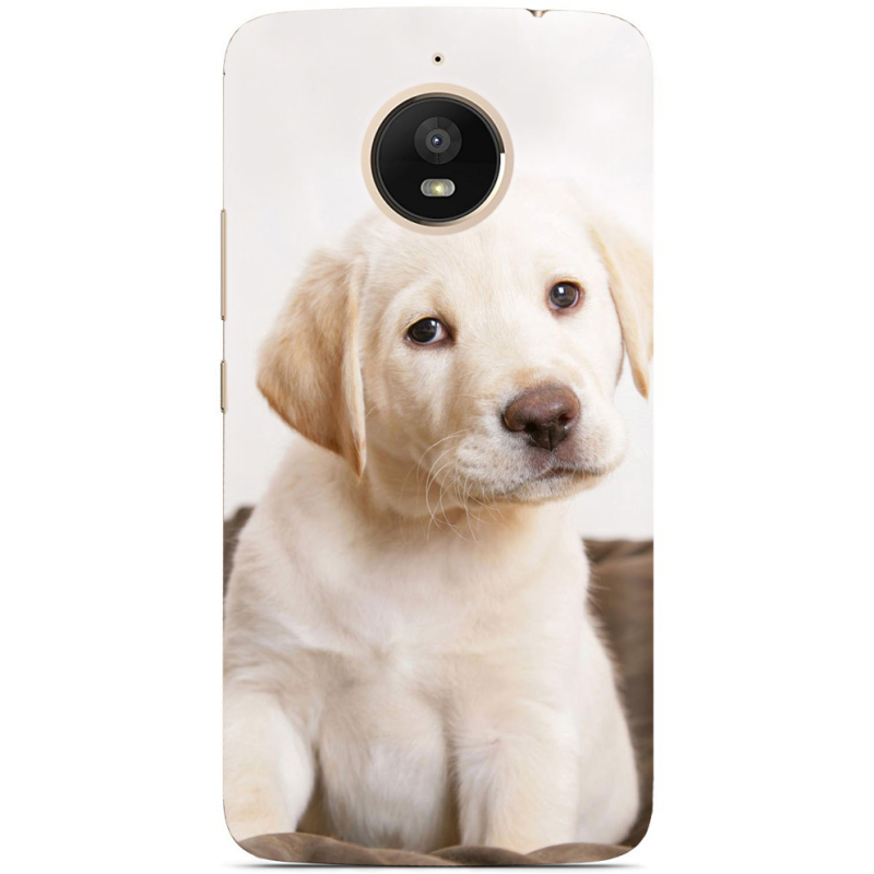 Чехол Uprint Motorola Moto E Plus XT1771 Puppy Labrador