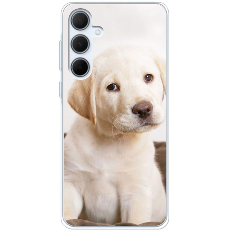 Чехол BoxFace Samsung Galaxy A35 5G (A356) Puppy Labrador