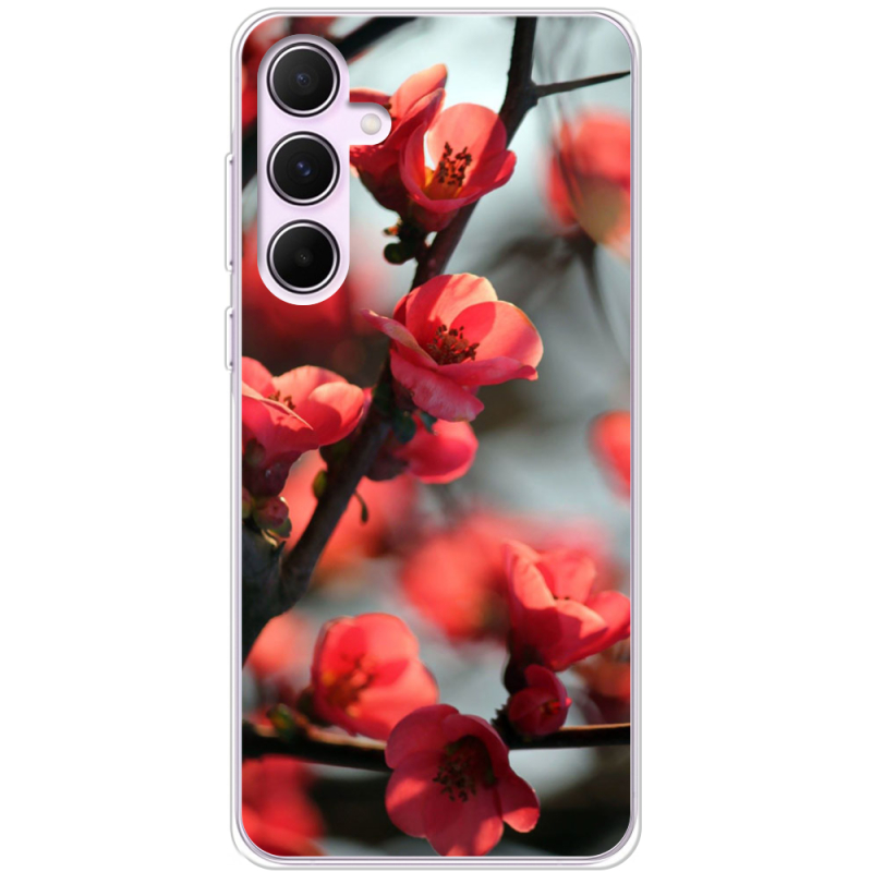 Чехол BoxFace Samsung Galaxy A55 5G (A556) Awakening Spring