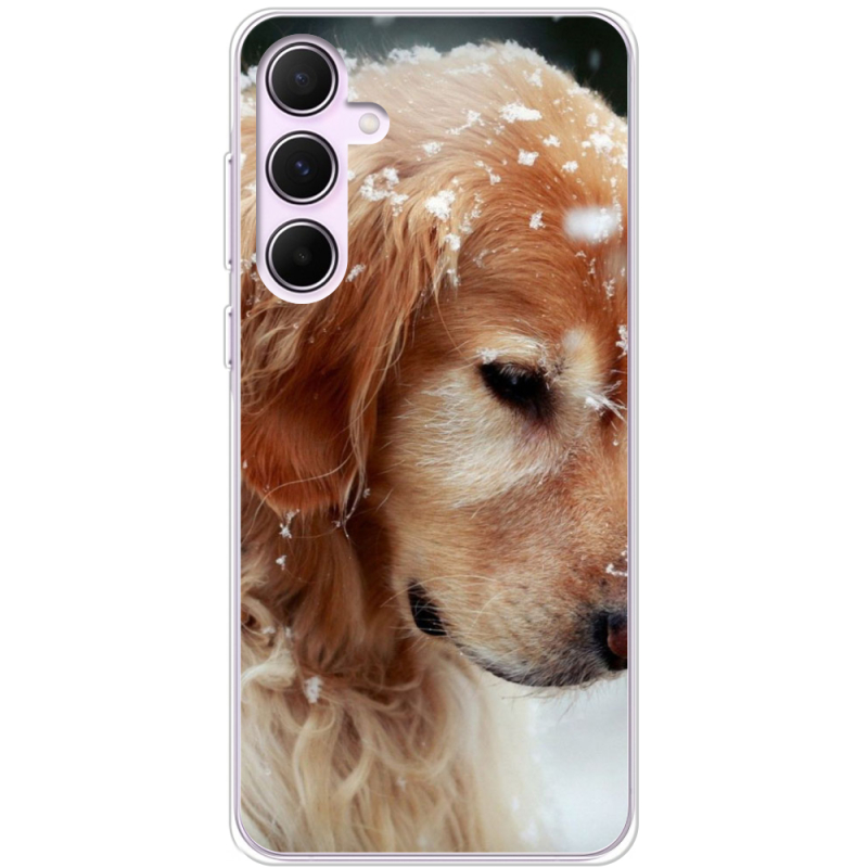 Чехол BoxFace Samsung Galaxy A55 5G (A556) Golden Retriever